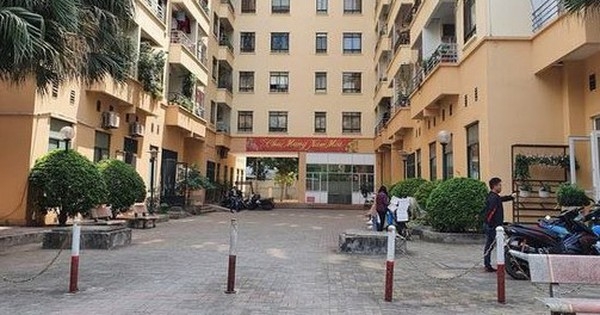 Ngược đời đôi vợ chồng bán chung cư lấy tiền đi vợt đất nền “ngộp”