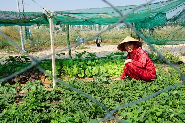 Tái định cư phải là nơi đáng sống - Ảnh 2. Tái định cư phải là nơi đáng sống - Ảnh 2.