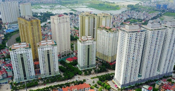 Có thu nhập cao, nhiều người vẫn chỉ muốn ở nhà thuê